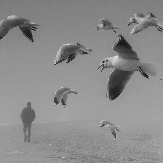 On the misty seaside. BW