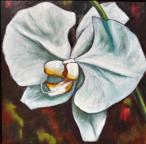 "Moth Orchid III" by Lorie Schackmann