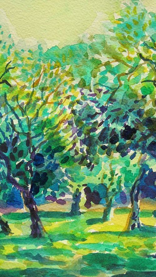 Breeze in olive orchard by Maja Grecic