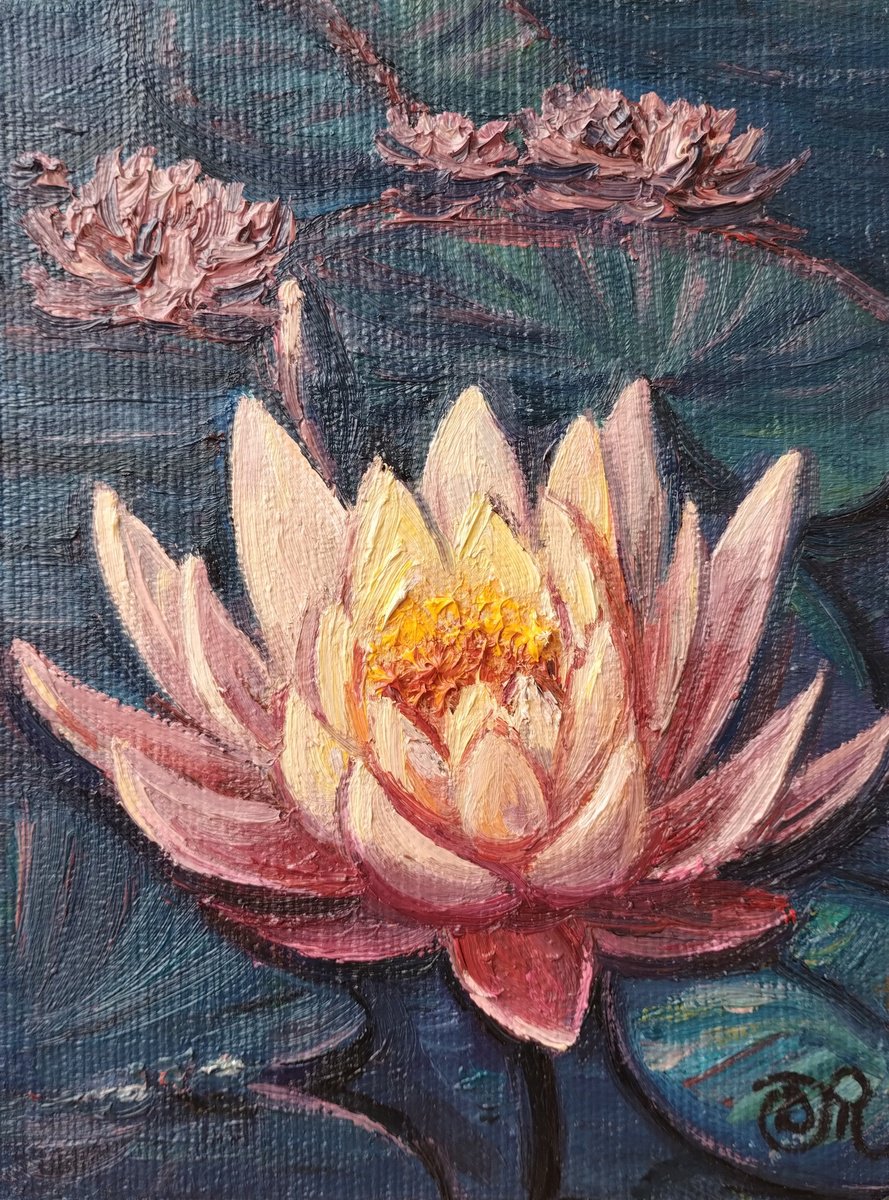 Lotus flower by Dmitrij Tikhov