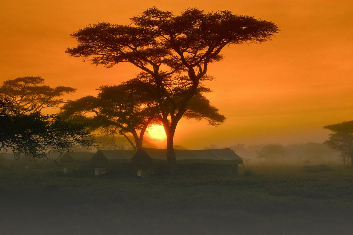 Serengeti Sunrise...Ready to hang, limited edition photograph made in Tanzania by Harv Greenberg