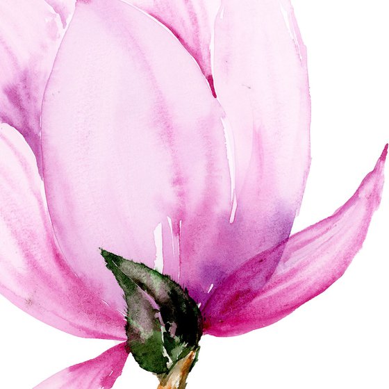 Pink Magnolia  watercolor
