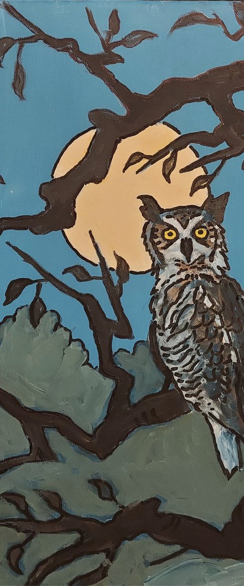 horned owl in tree by Colin Ross Jack