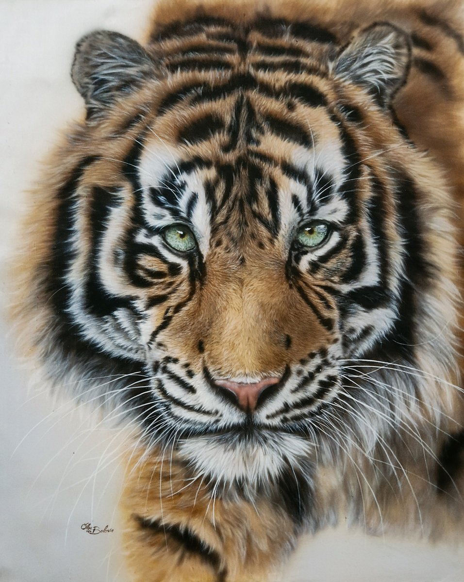 King - tiger portrait painted on pure silk by Olga Belova