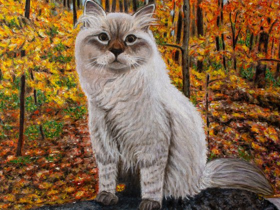 AUTUMN CAT by Vera Melnyk (Cat Painting, Gift for Her, Gift for Him, Wall Art)