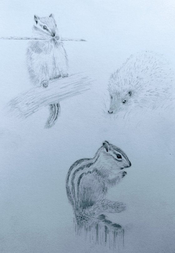 Animals. Original pencil drawing.