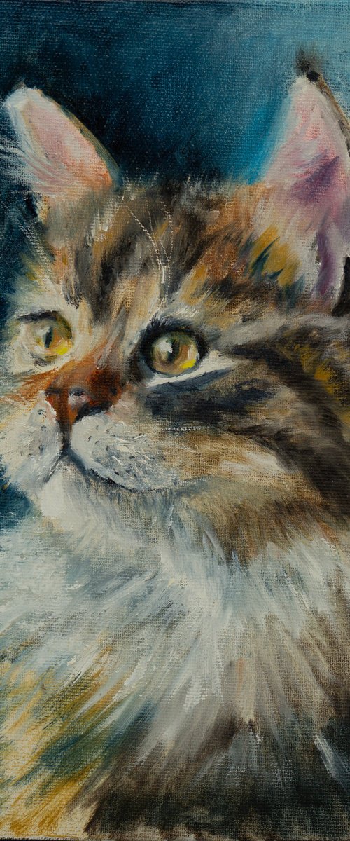 Majestic Longhair Cat by Olga Tchefranov (Shefranov)