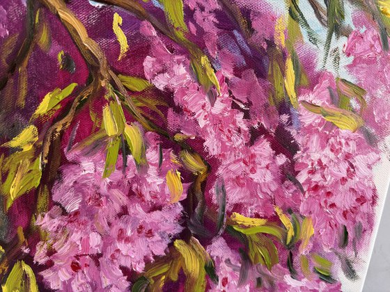 Under the Sakura Canopy