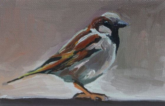 Sparrow #3