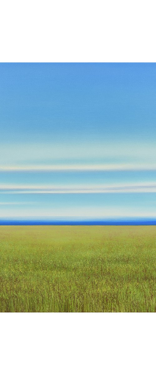 Lush Field - Blue Sky Landscape by Suzanne Vaughan