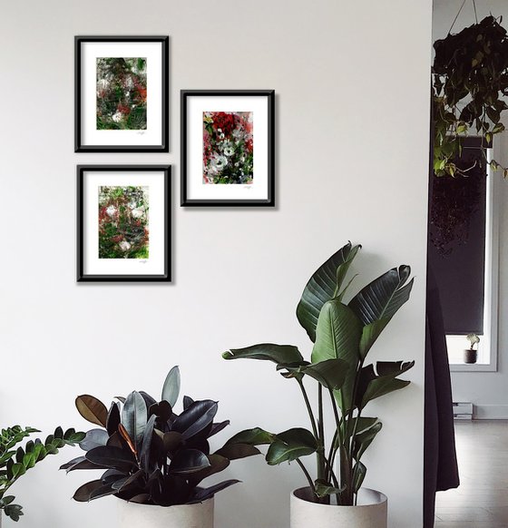 Mystic Garden Collection 1