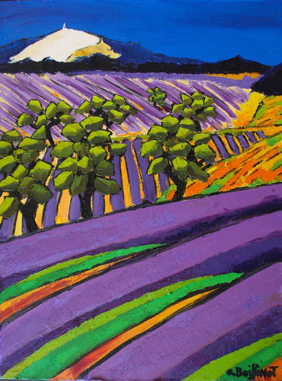 Provence mont Ventoux