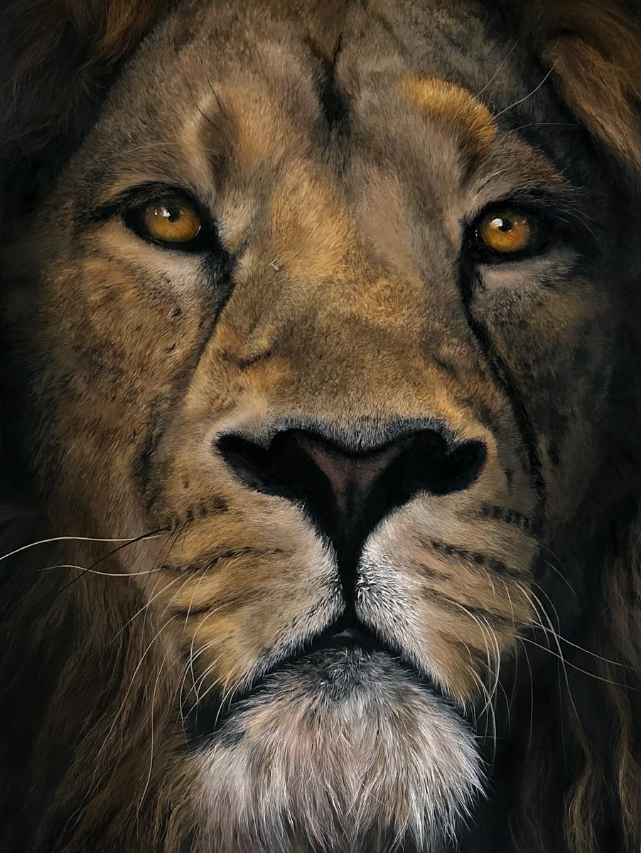 Heart of a Lion by Paul Hardern