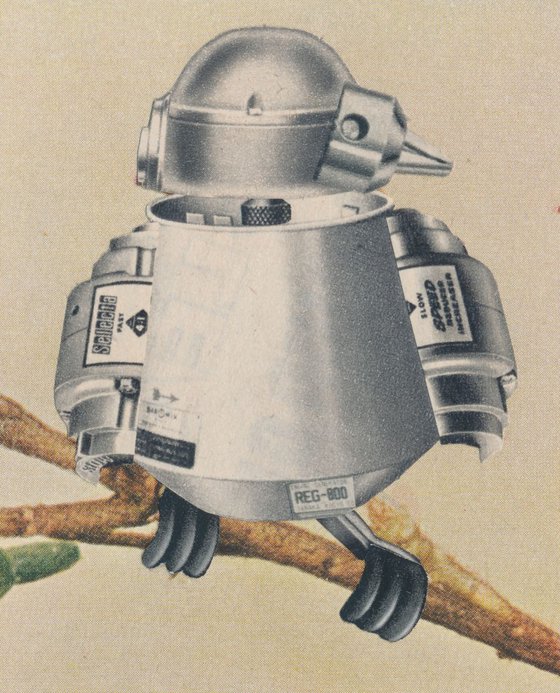 Bird Bot