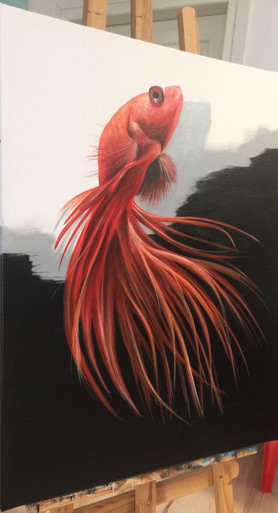 goldfish. Eka Peradze Art