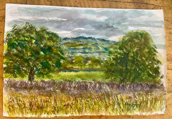 Summer pastures