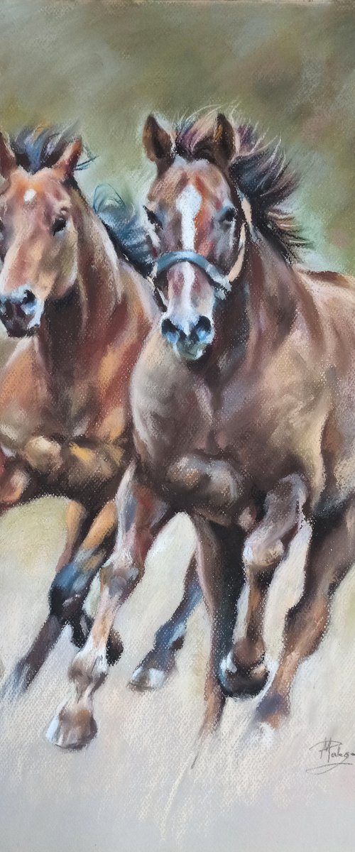 At a gallop II by Magdalena Palega