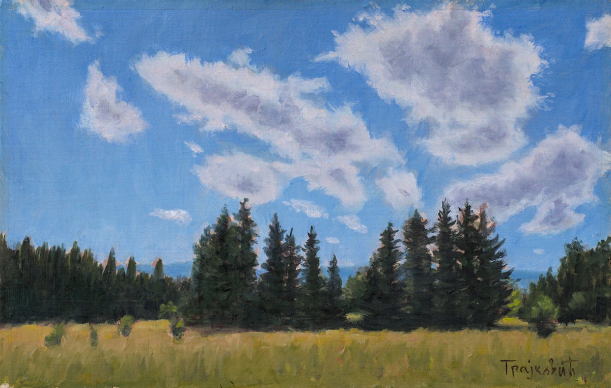 Impressionistic Landscape Oil Painting By Dejan Trajkovic, 10 X 7, Cloudscape, Original Artwork