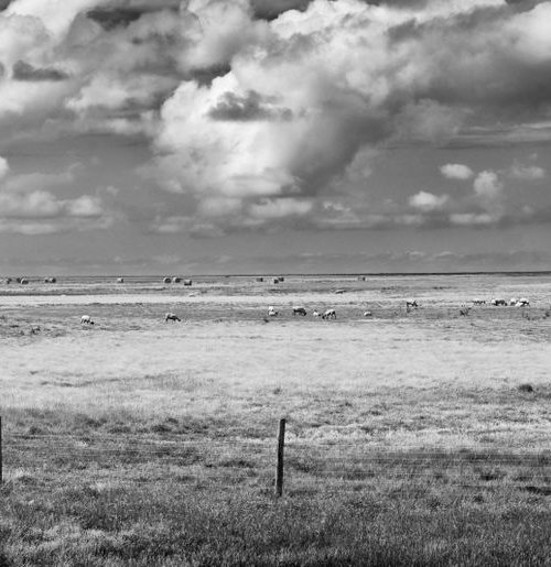 Mont St. Michel by Christian  Schwarz