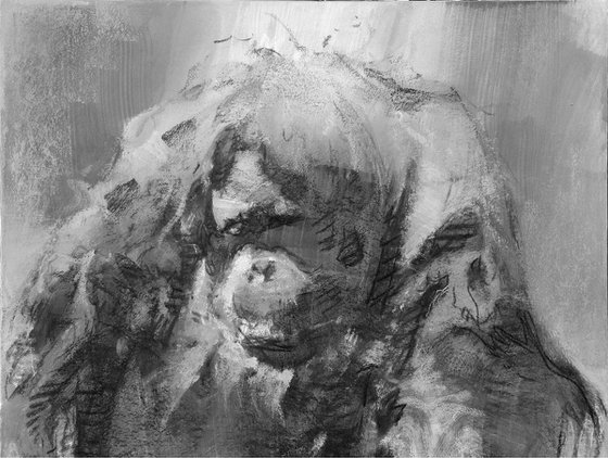 Orangutan portrait