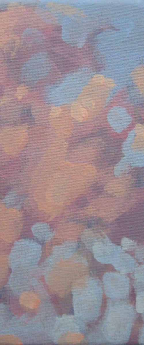EVENING CLOUDS (STUDY) by LENKA STASTNA