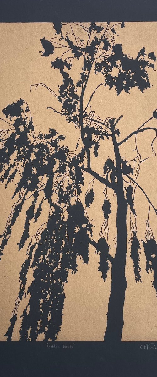 Golden Birch - Birch tree Linocut Print by C Staunton