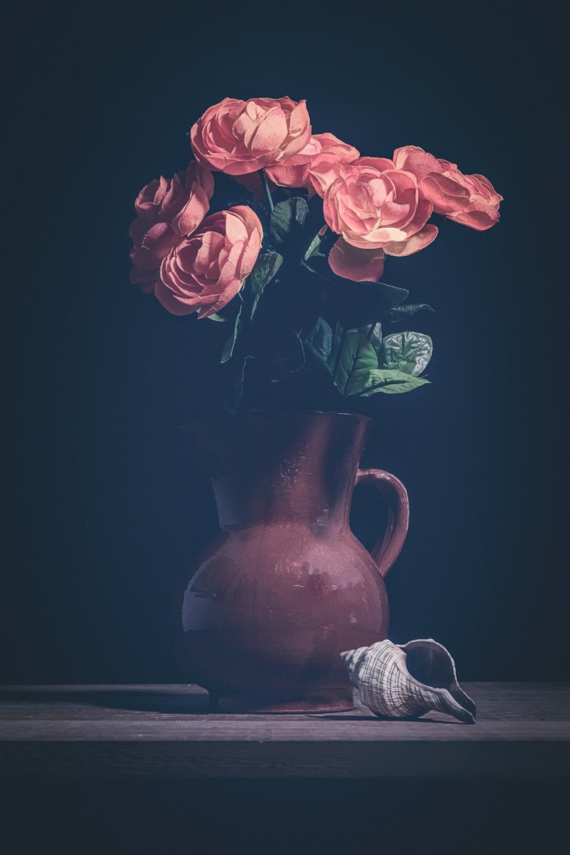 Photorealistic Photograph , Flowers And Shell By Paul Nash, 16 X 24, Artwork For Sale On Artfinder
