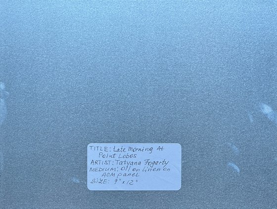 Late Morning At Point Lobos