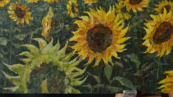 Sunflower Field - original landscape painting