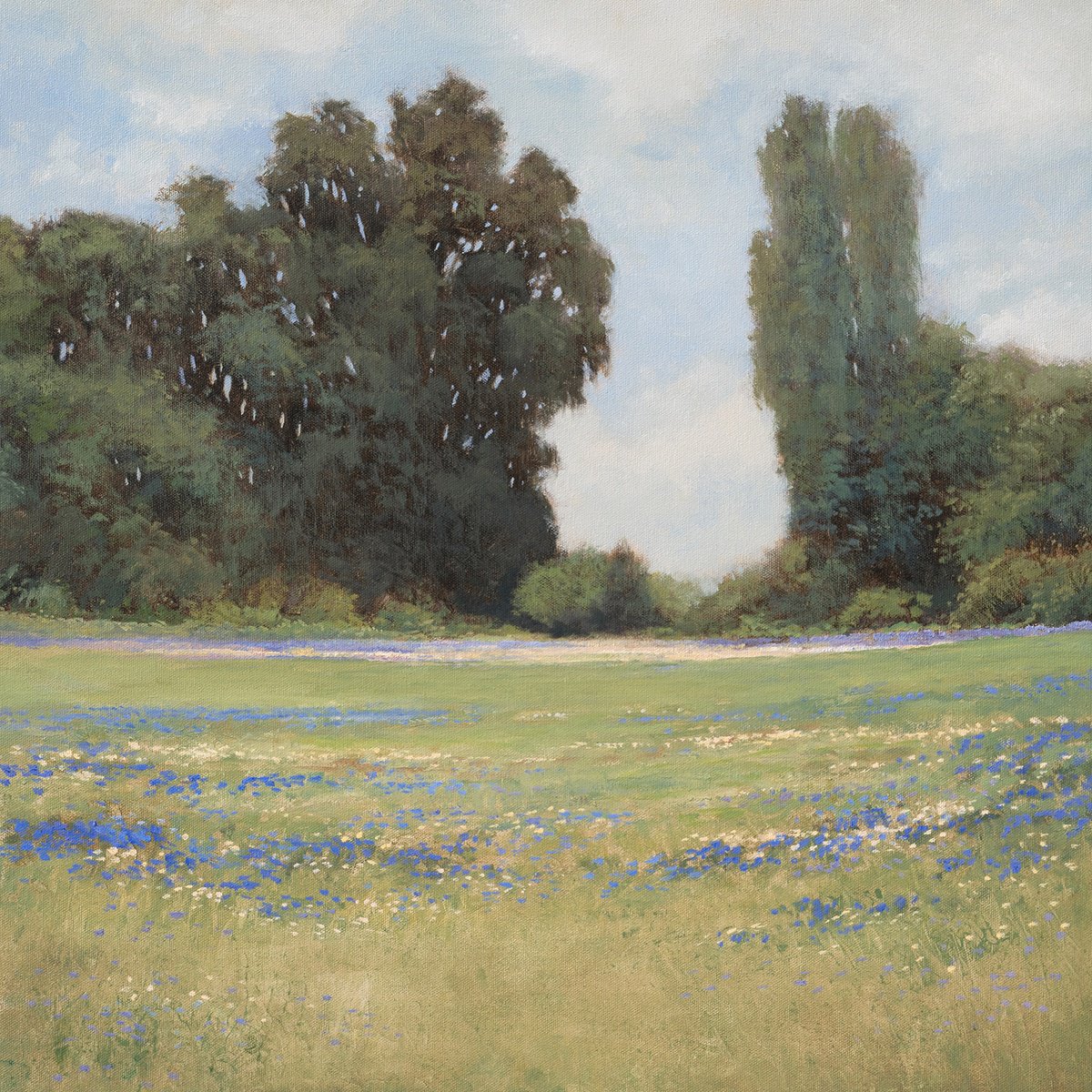 Impressionistic Landscape Oil Painting By Don Bishop, 20 X 20, Blue Wildflowers 250207, Original Artwork