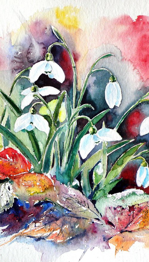 Snowdrops by Kovács Anna Brigitta