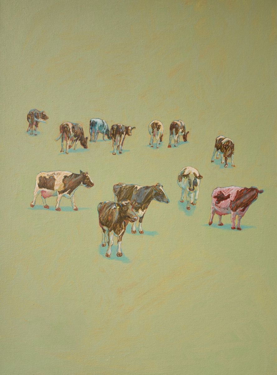 Cow Maps I by Duncan Wright RCA