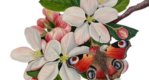 Artwork by Tina Shyfruk