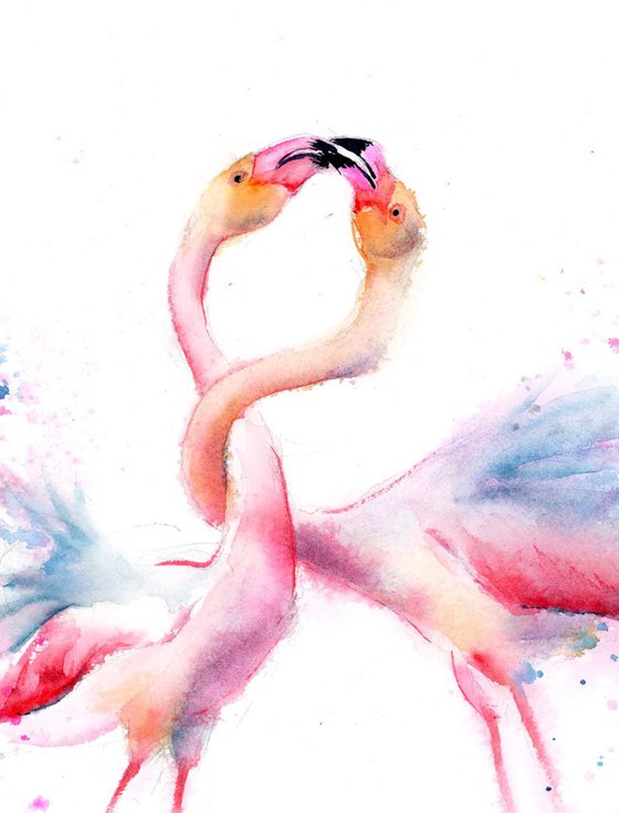 Flamingo in love