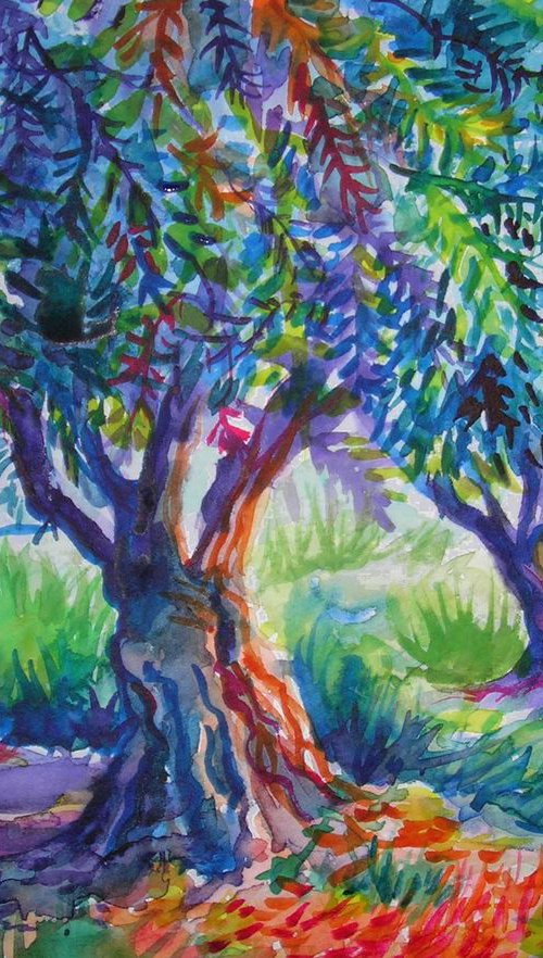 Old olive orchard IX by Maja Grecic