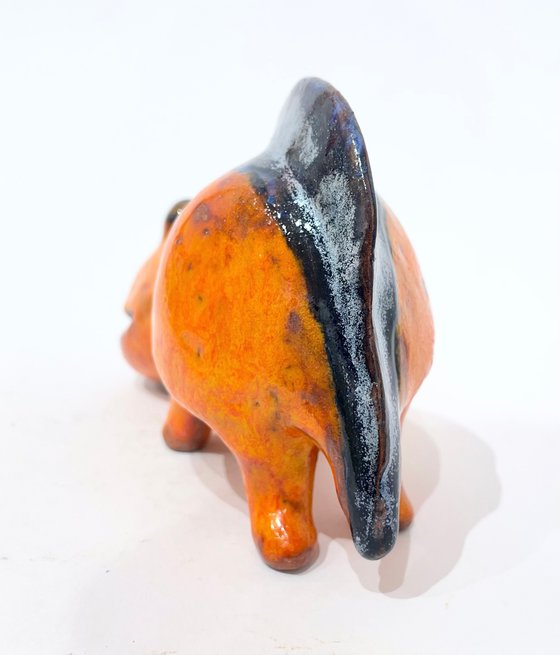 Smiles in the Savanna