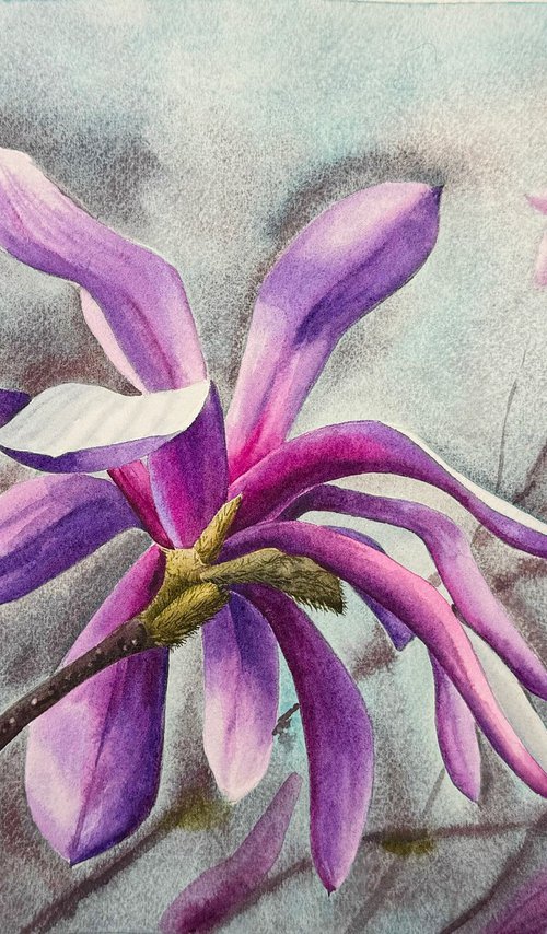 Magnolia watercolor flowers №2 by Yuliia Prokopchuk