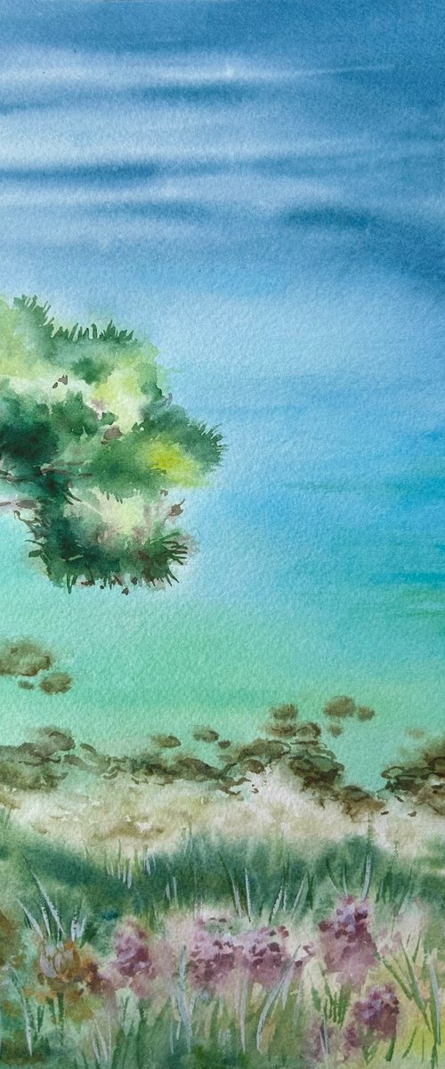 Pine Over the Sea. Cyprus. by Oksana Shvachka