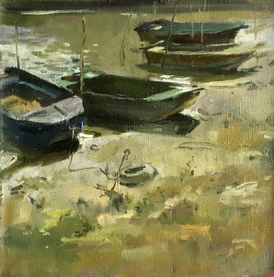 Boats on the shore