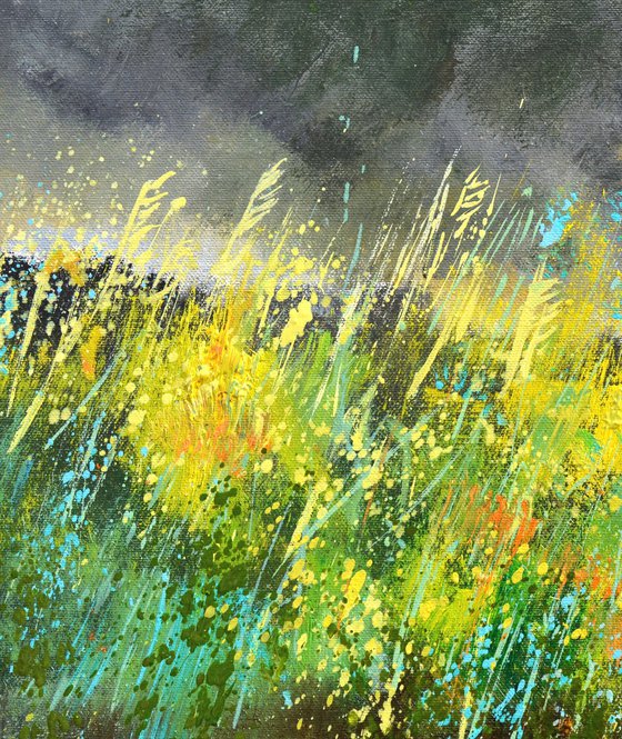 Wild herbs in my countryside
