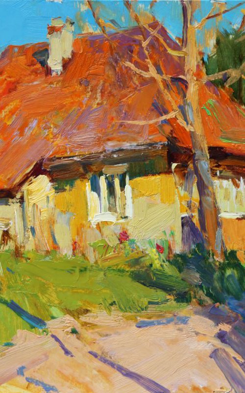 A cozy village house by Aleksandr  Kryushyn