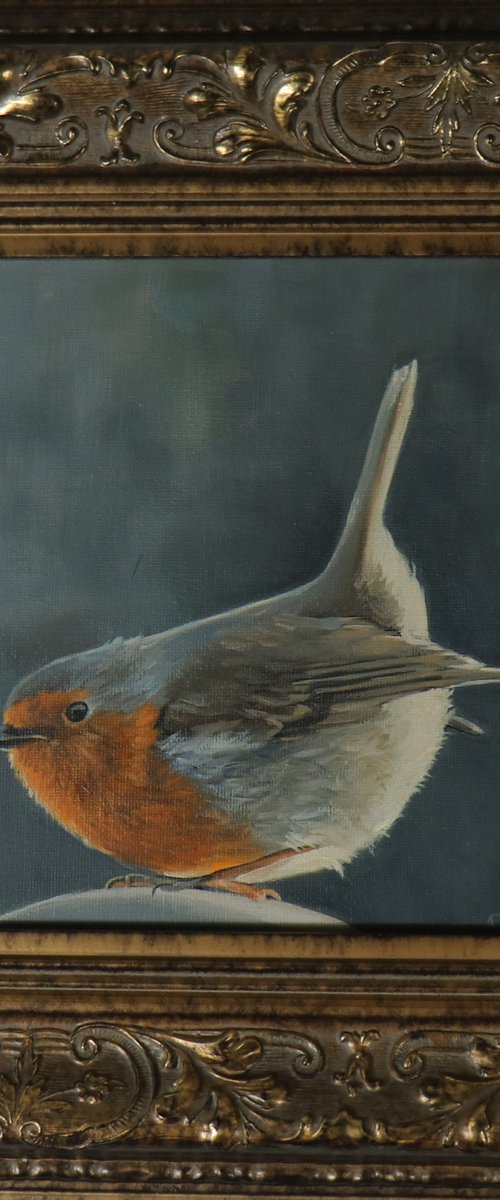 Red Robin by Alex Jabore