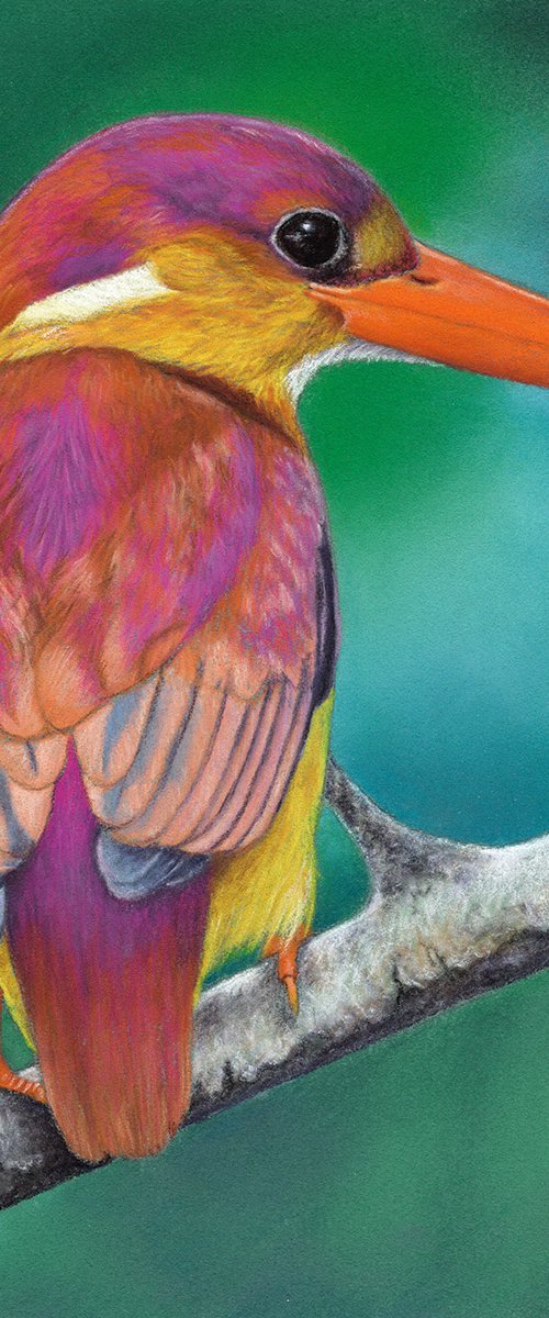 Original pastel drawing bird "Rufous-backed kingfisher" by Mikhail Vedernikov