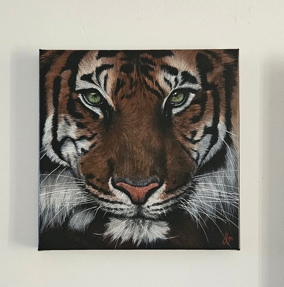 Painting Eye of the tiger