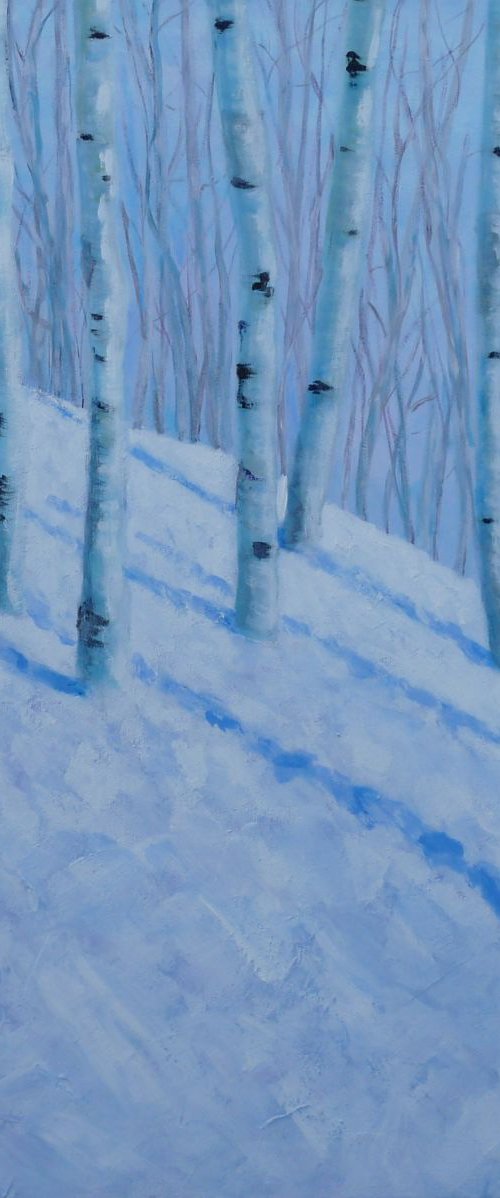 Winter Birches by Jess Petrie