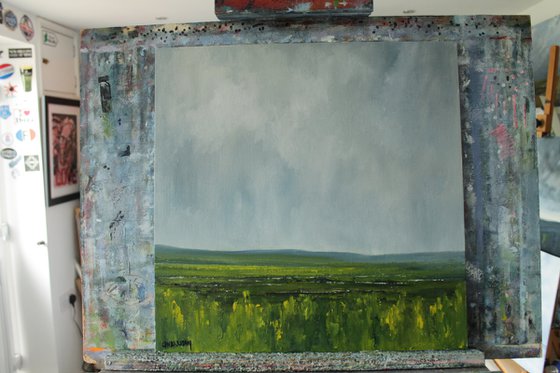 Across the wetlands, Irish landscape