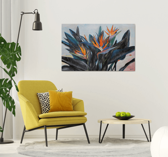 Strelitzia. Bird of Paradise.