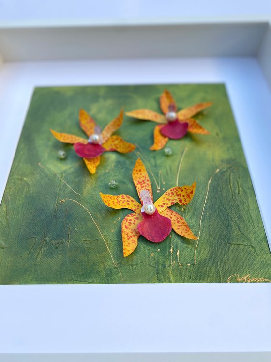 Orchid Reverie-1