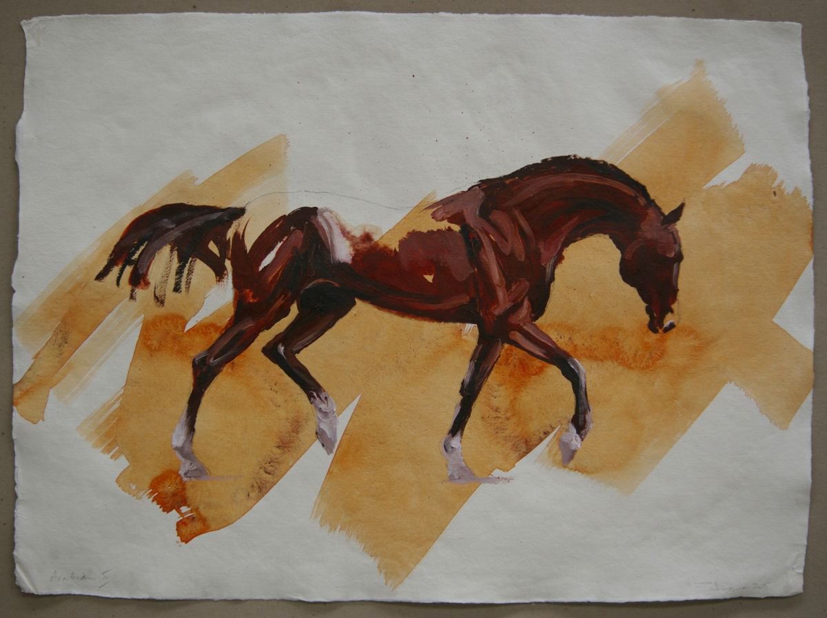Arabian II (study) by Zil Hoque