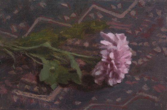 Chrysanthemum